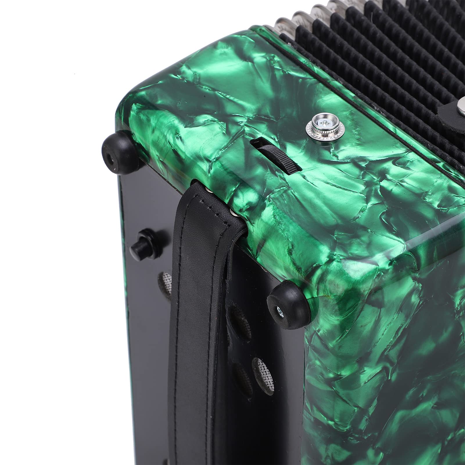 Fisarmonica a 22 Tasti e 8 Bassi, Fisarmonica a Mano per Principianti, Strumenti Musicali a Fisarmonica Professionali Dotati di Ance Premium e Cinghie Regolabili per Performance