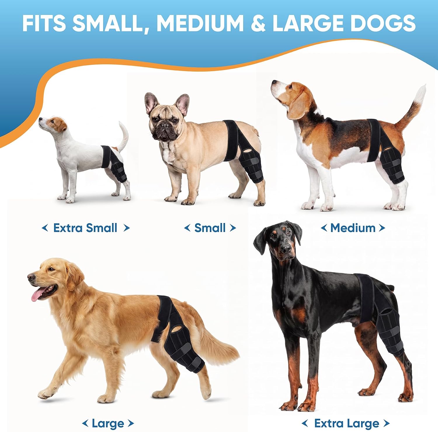 Dog Knee Brace for Back Leg,Dogs Leg Brace Hind & Rear Legs Senior Dog(M)