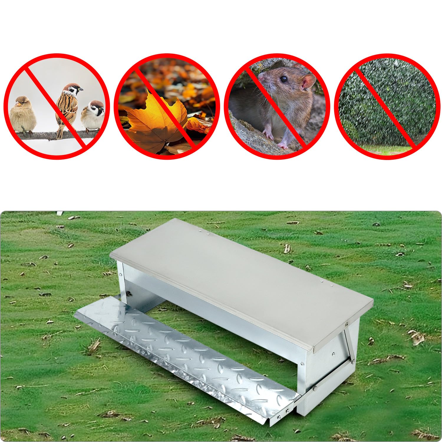 QWORK® Mangiatoia Automatica per polli - capacità 5 kg - Design Inclinato Interno - Coperchio in Acciaio Inossidabile e Pedale Antiscivolo (56x18x18 cm)