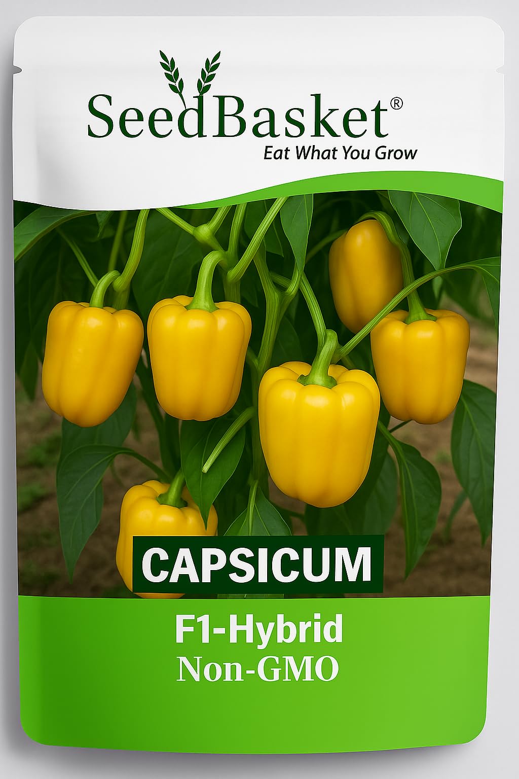 Seedbasket Pack of 3 Capsicum Green Red Yellow Hybrid Seeds – High Yield, Non-GMO, Fast Germination, Suitable for Pots, Grow Bags & Terrace Garden | Ideal for Home & Kitchen Gardening| - Image 3 thumbnail