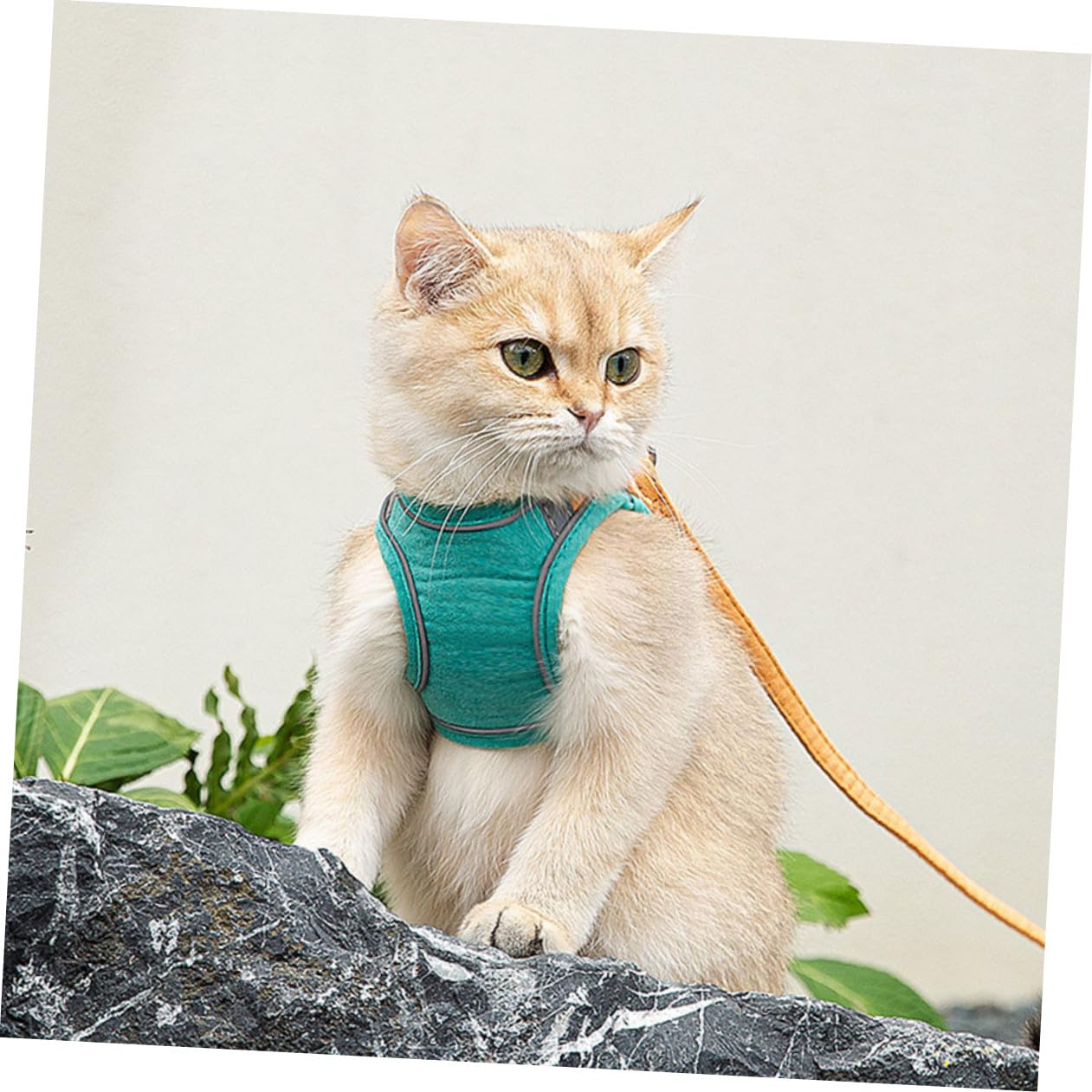 Kisangel 3juegos Arnés para Gato Antideslizante y Reflectante para Paseos Cómodo y Seguro para Pequeñas