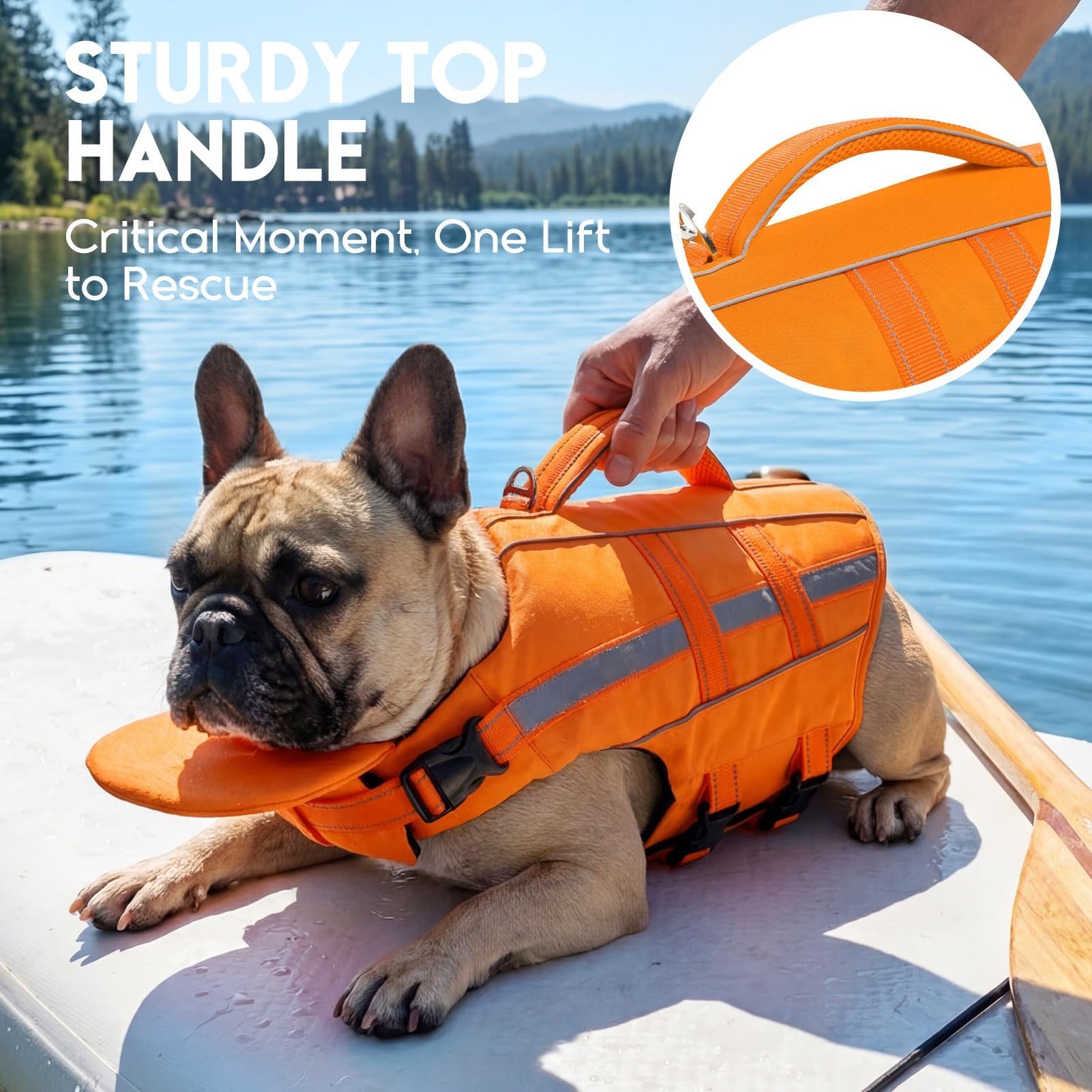 ASENKU Hundeschwimmweste Größe S für kleine Hunde mit Abnehmbarer Nackenstütze, Rettungsgriff, D-Ring und Reflektorstreifen, Schwimmweste für Hund sicheres Baden und Wassersport 5 kg-10 kg Hunde