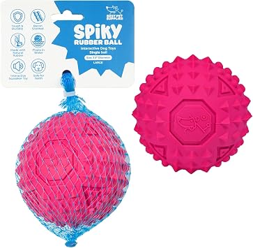 Best Pet Supplies Squeaky Dog Toys with Soft Durable Fabric for Small, Medium and Large Pets Interactive Toy for Indoor Play, Supports Active Biting and Play - Fuchsia, Large