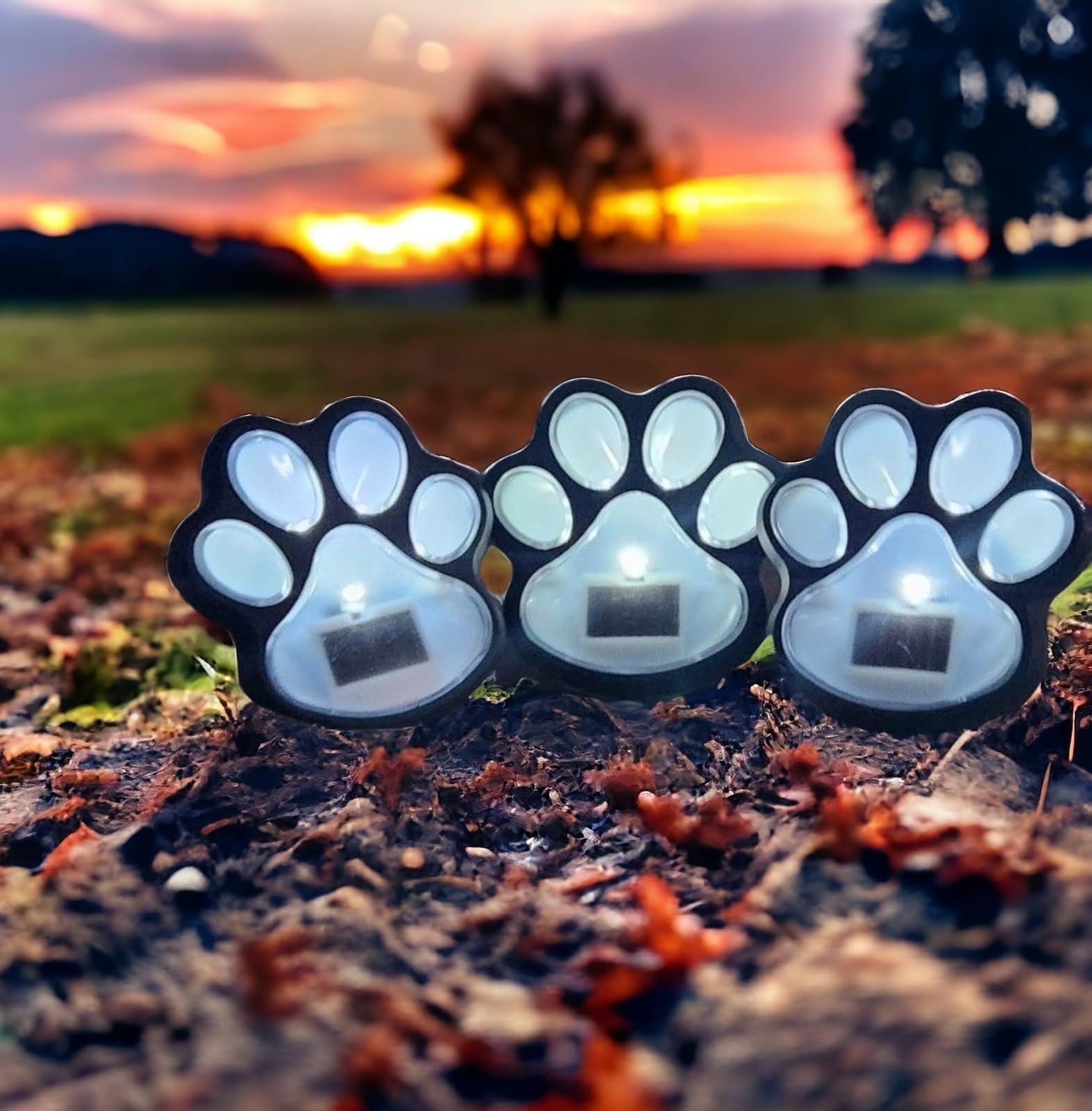 Divas World, Pack of 3, Outdoor Solar Powered LED Dog Paw Print Light Lamps, Outdoor Garden Decoration, for Lawn Garden - Image 2