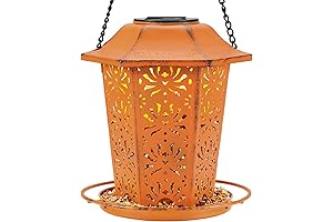 Premium Grade Solar Bird Feeders for Outdoors