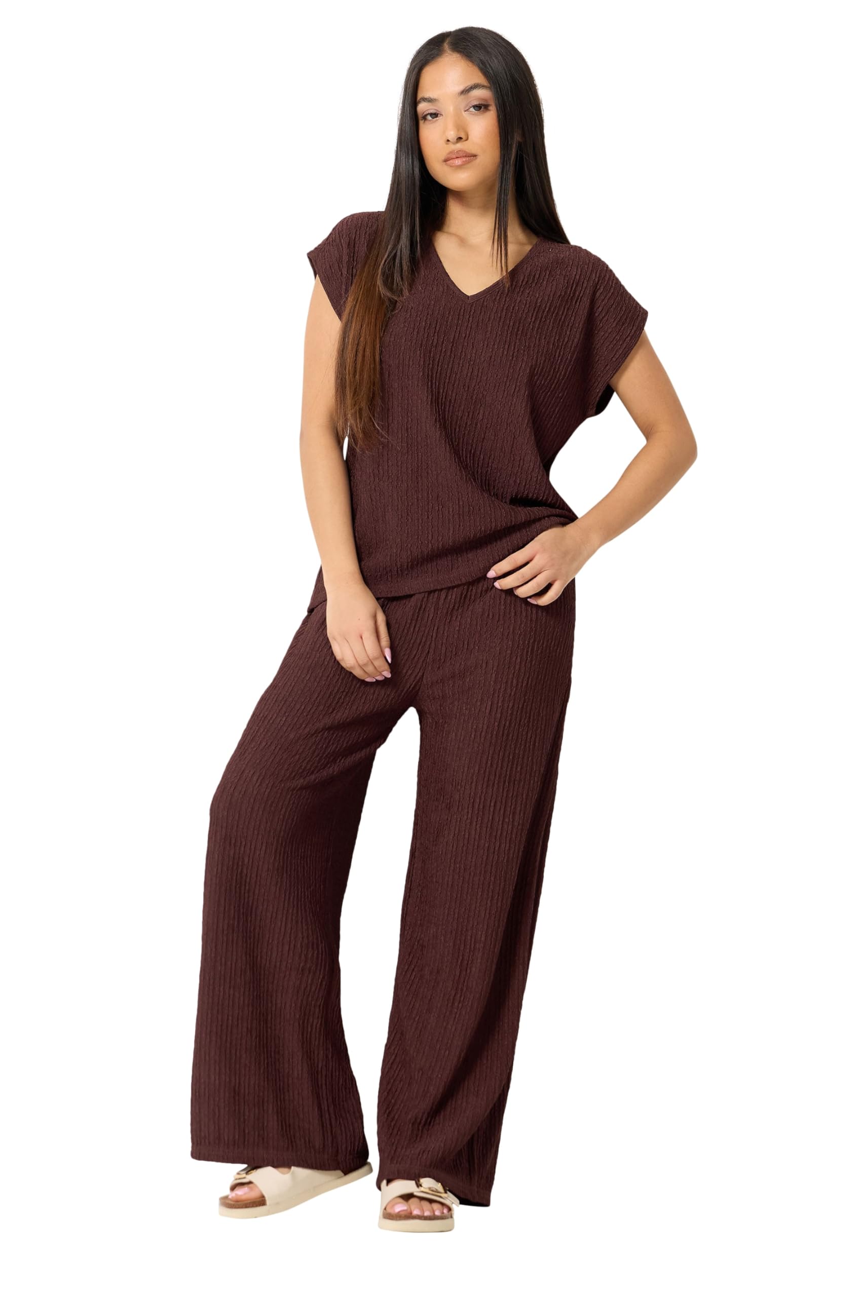 M&Co Women's Petite Textured V-Neck T-Shirt in Chocolate | Size: 14