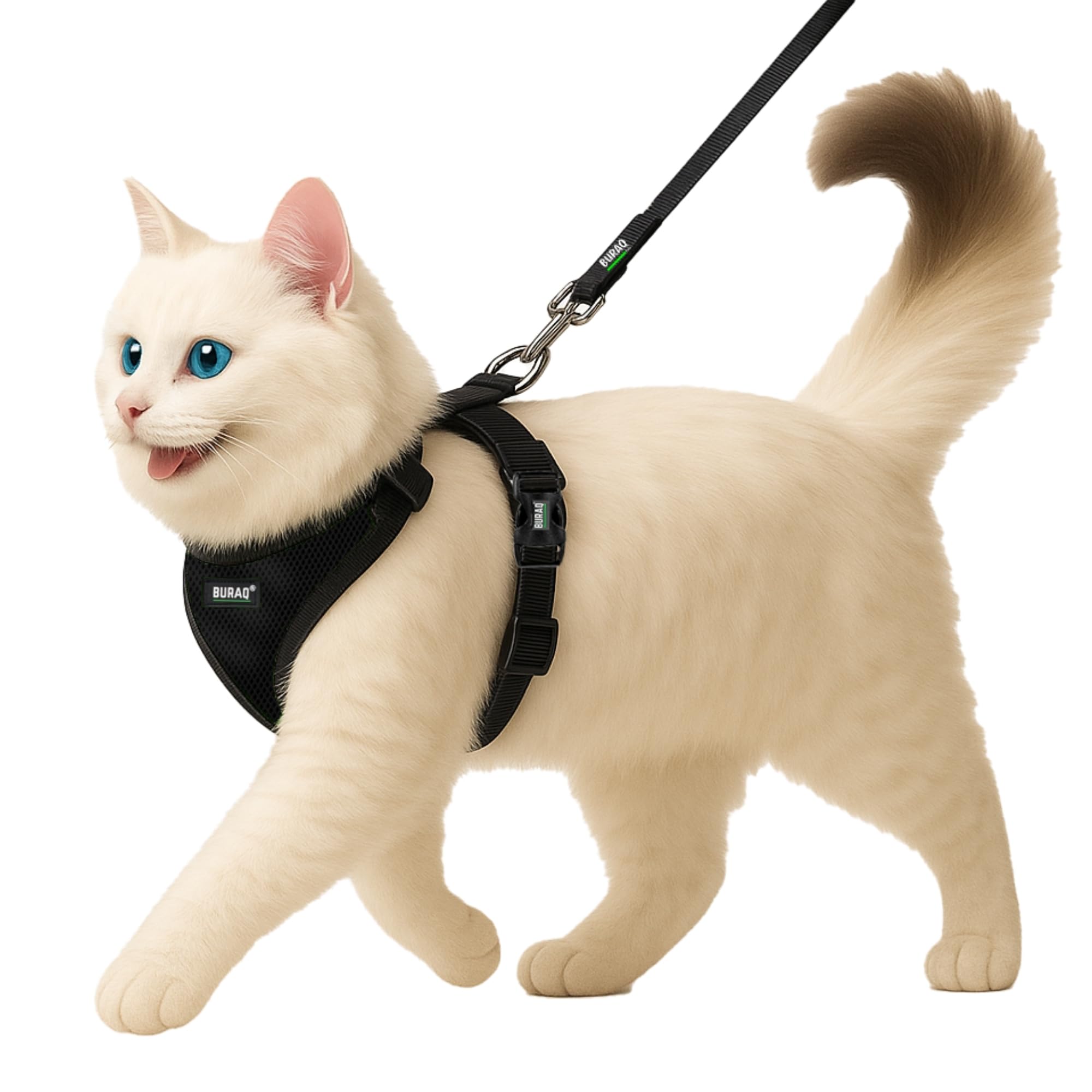 Buraq No Pull Cat Harness with Leash, Escape Proof, Ultra-Light Weight, Air Mesh Fabric, Aesthetic Design Adjustable Cat Leash with Harness (S - Black)