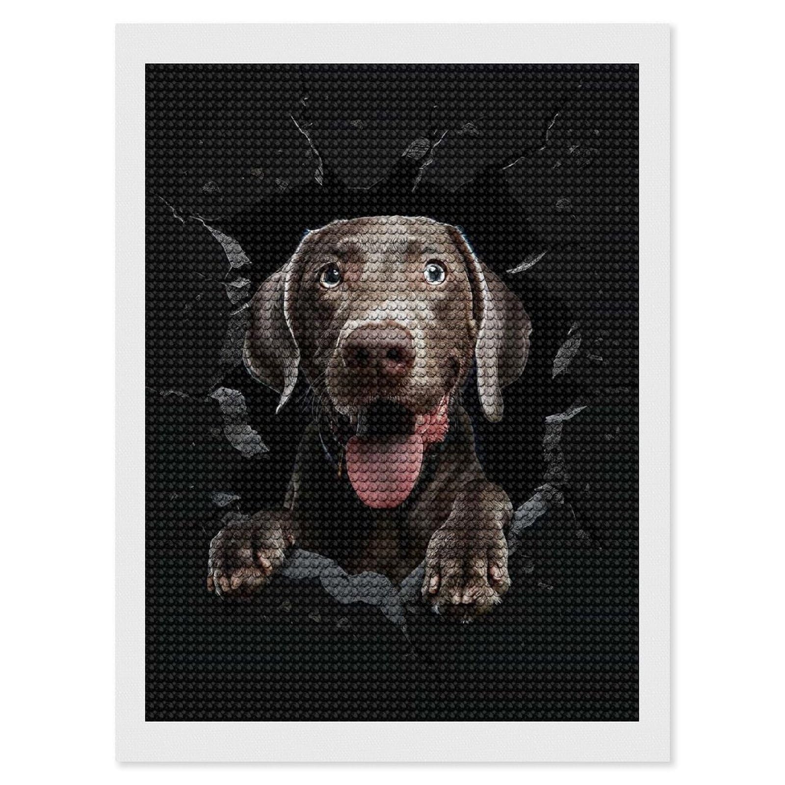 Junmoney Weimaraner Diamond Painting Canvas Set 12"x16", for Women, Pleasing Wall Art Project, Aesthetic Room Decor, Gift Idea