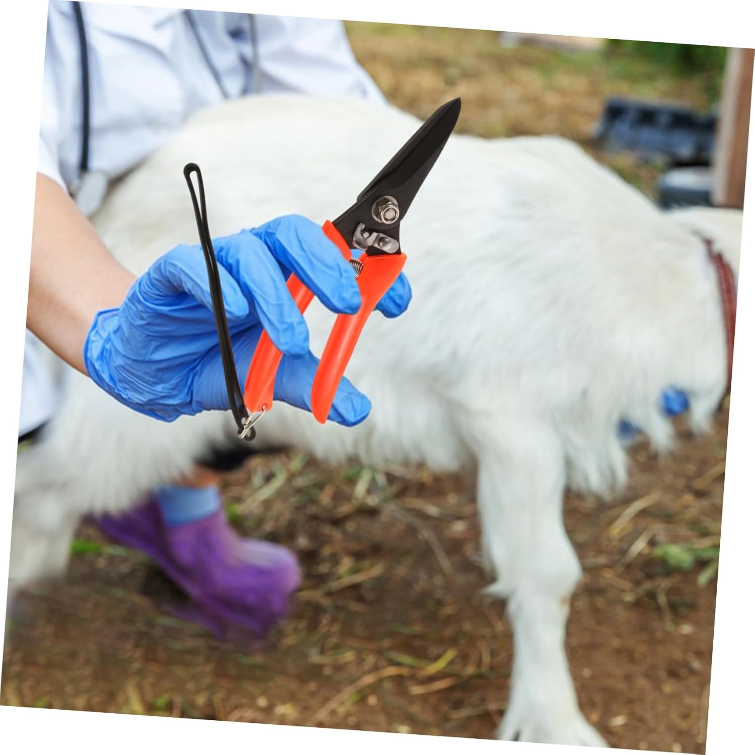 Mipcase 4pcs Multi-function Carbon Steel Goat Hoof Trimmer Pruner for Hoof Care Ergonomic Design for Farmers and Florists