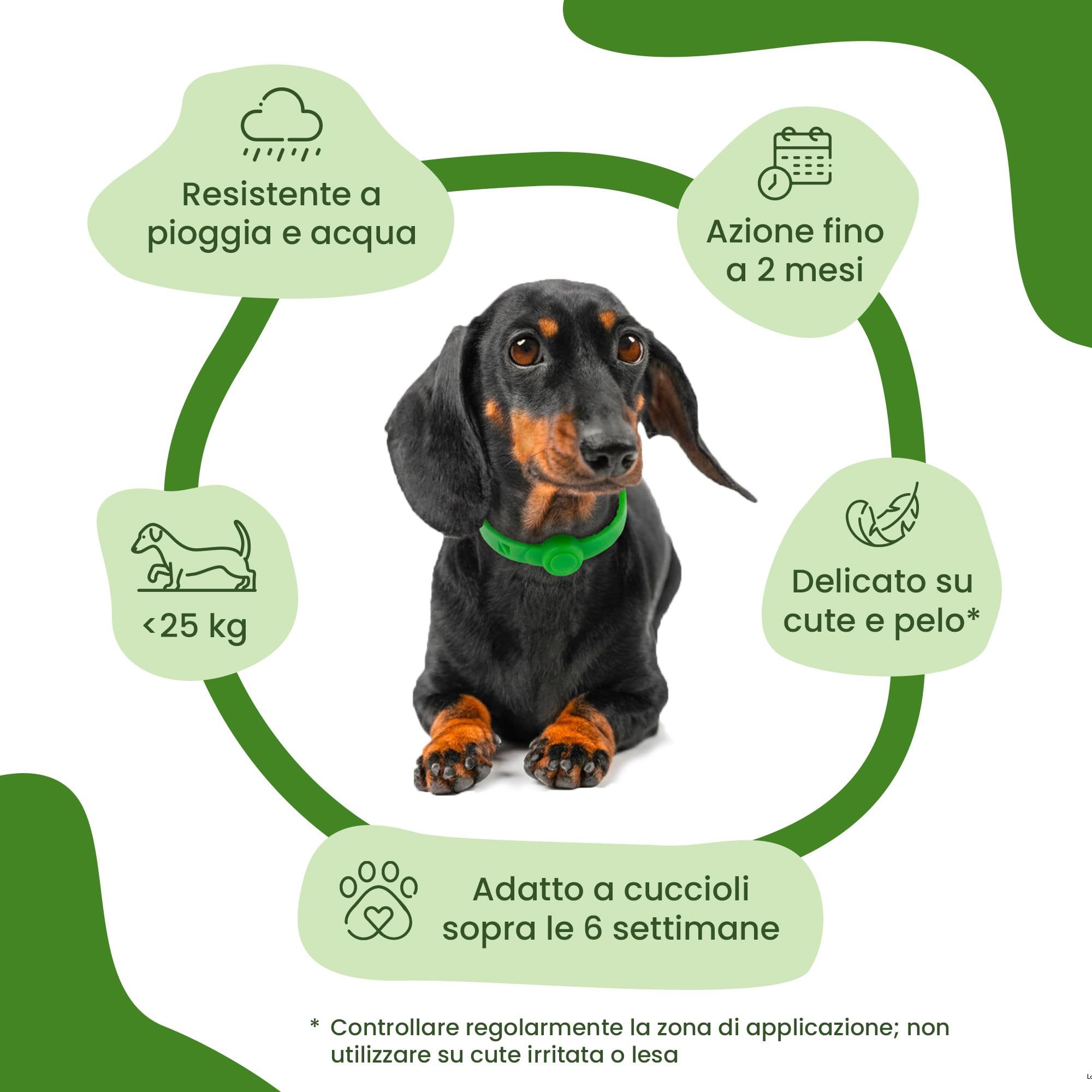 CAMON | Collare Barriera per Cane Olio di Neem, Rilascia Un Gradevole Odore, Resistente all'Acqua, Protezione per Circa 2 Mesi, 60cm
