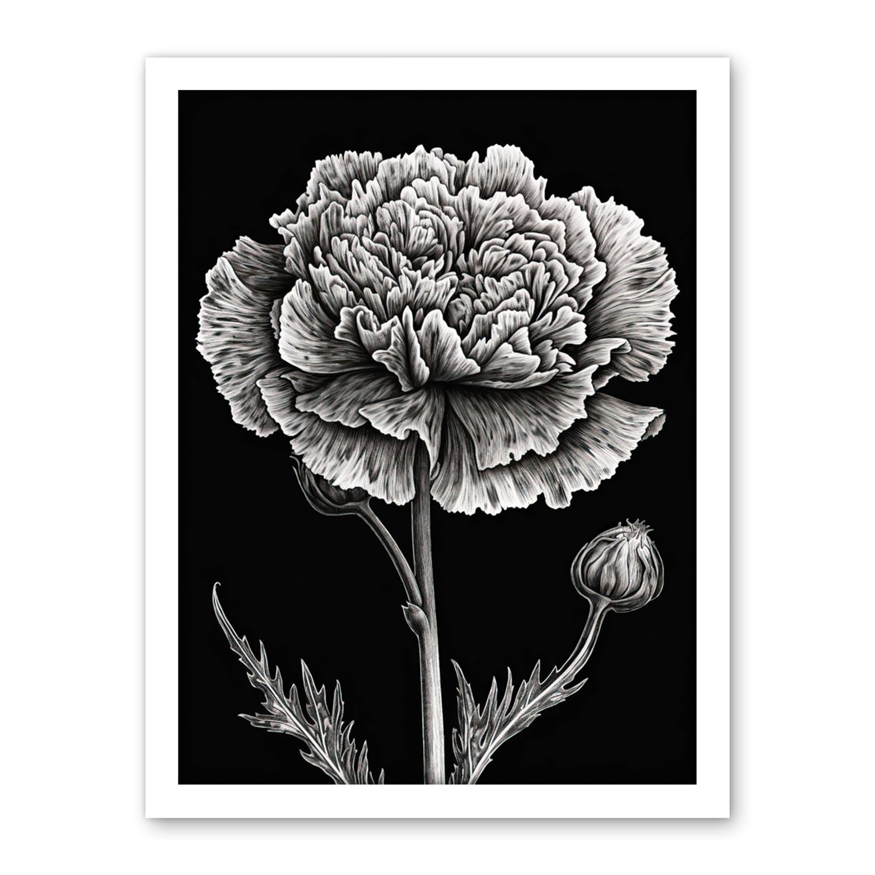 Artery8 Black and White Linocut Carnation Flower Print Artwork Framed Wall Art Print 18X24 Inch