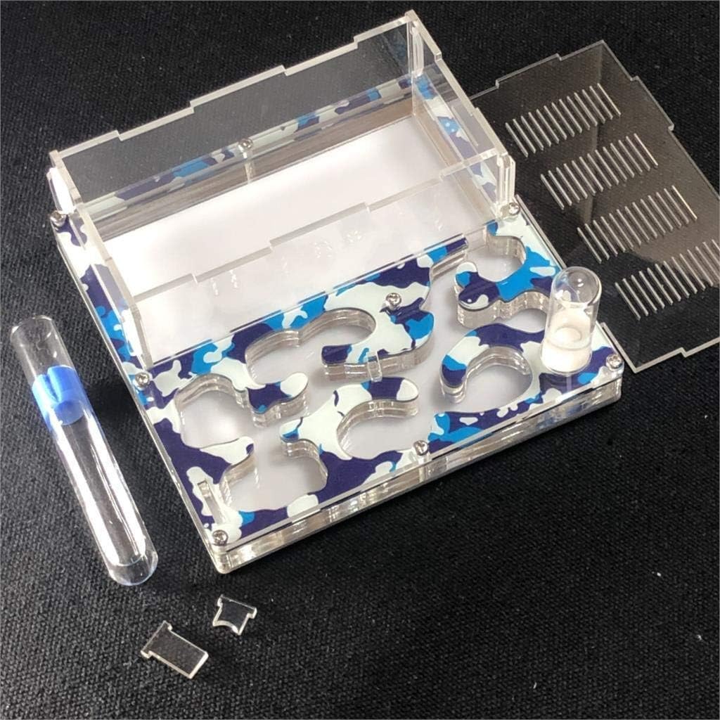 アリの巣 DIYアクリル昆虫ヴィラ爬虫類飼育ケースBIGスペースアリの巣ファームアリの家給餌エリアペットマニアハウス誕生日プレゼント