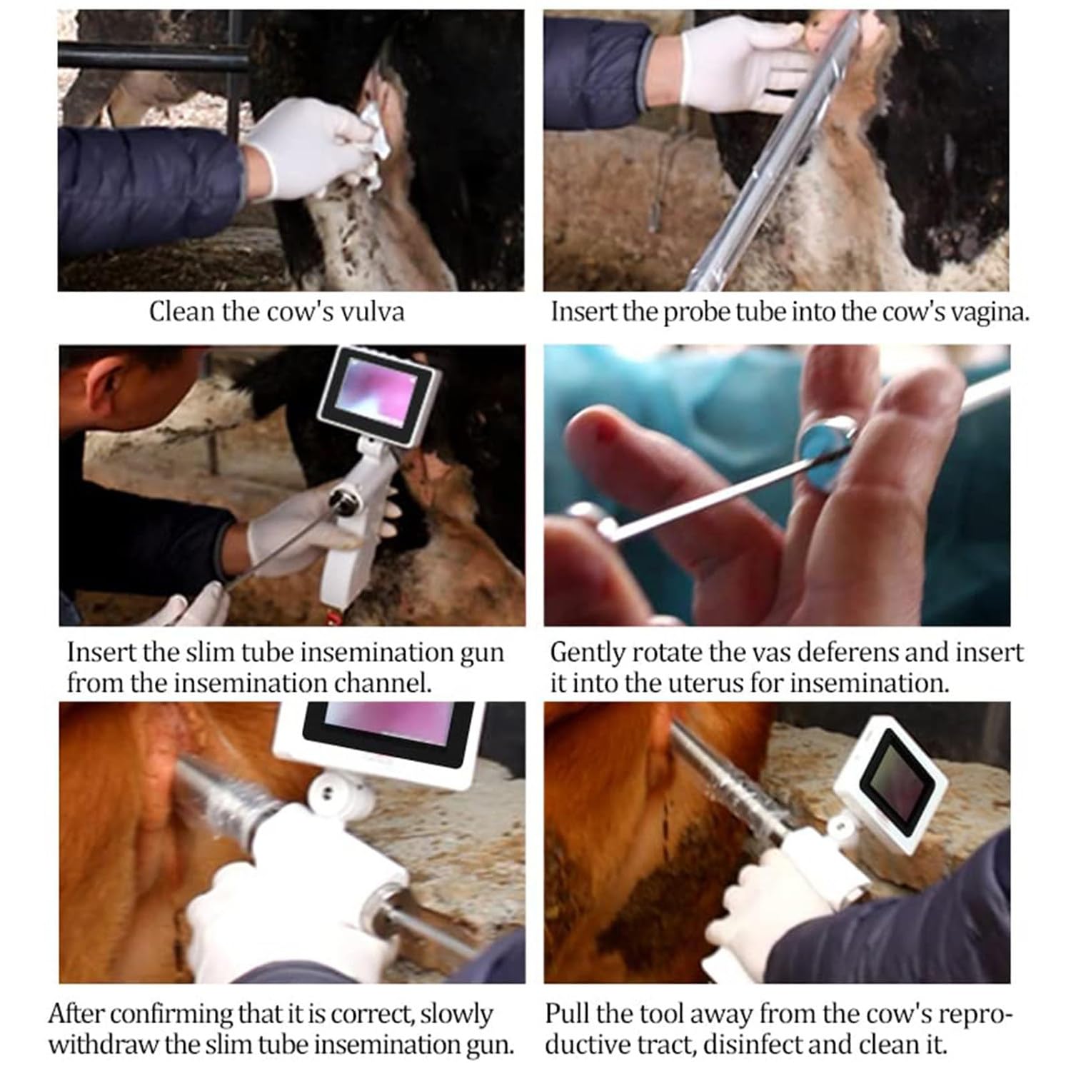 Zestaw do inseminacji dla krów Bydło Wizualny pistolet do inseminacji,pistolet do inseminacji wizualnej Narzędzia do inseminacji weterynaryjnej Idealny dla świń, krów,cow/horse