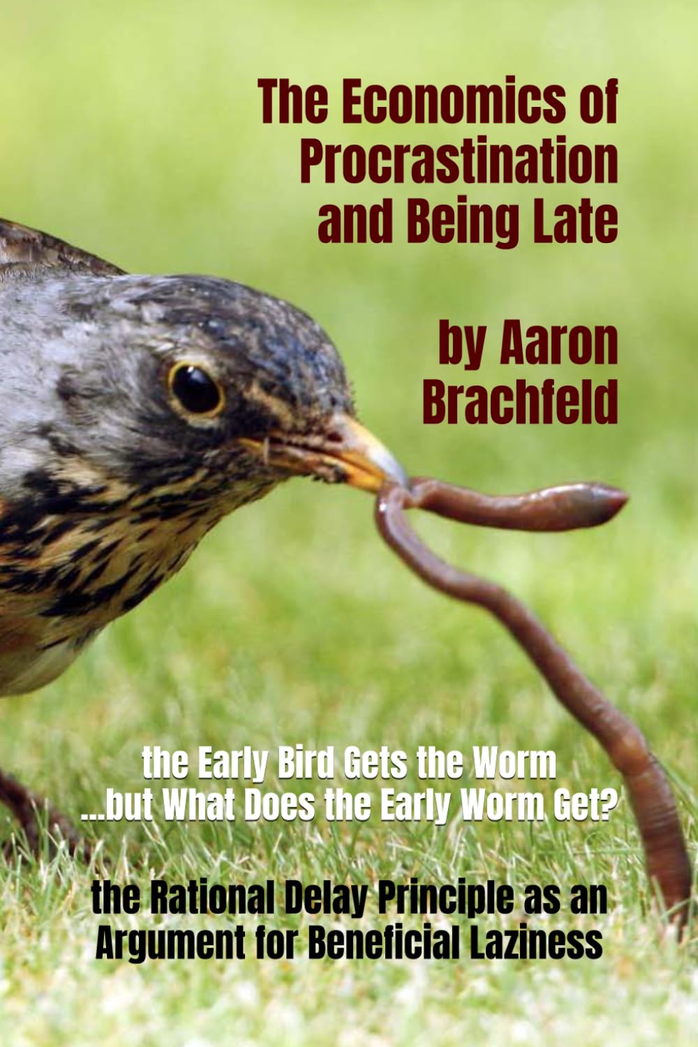 The Economics of Procrastination and Being Late: the Rational Delay Principle as an Argument for Beneficial Laziness (Business and Economics)