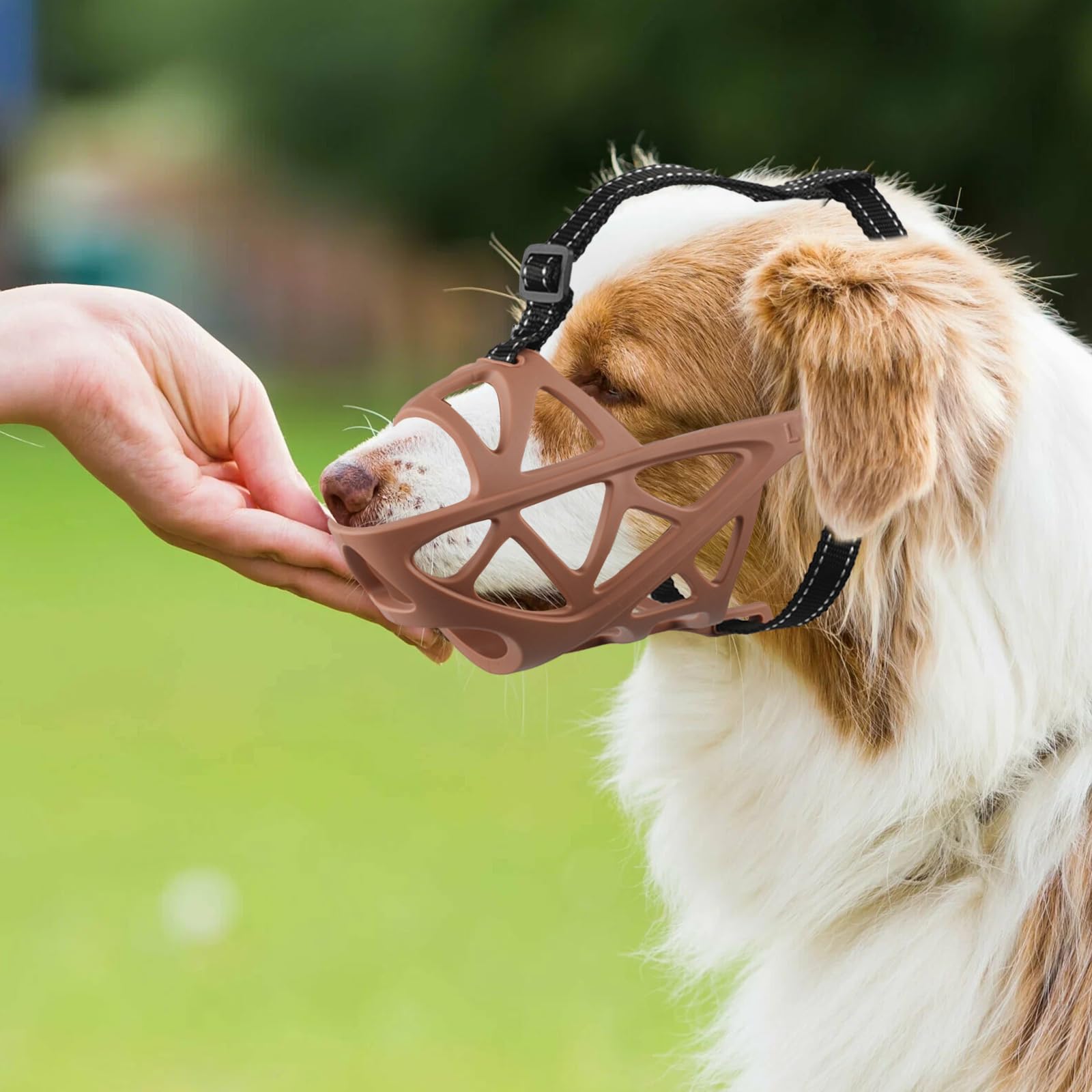 PETCUTE Muselière pour Chien,Réglable Museau de Chien avec Bande Réfléchissante,Mieux prévenir Les morsures, mâcher et aboyer Museau,Muselière pour Petits Chiens,pour Moyens Et Grands Chiens