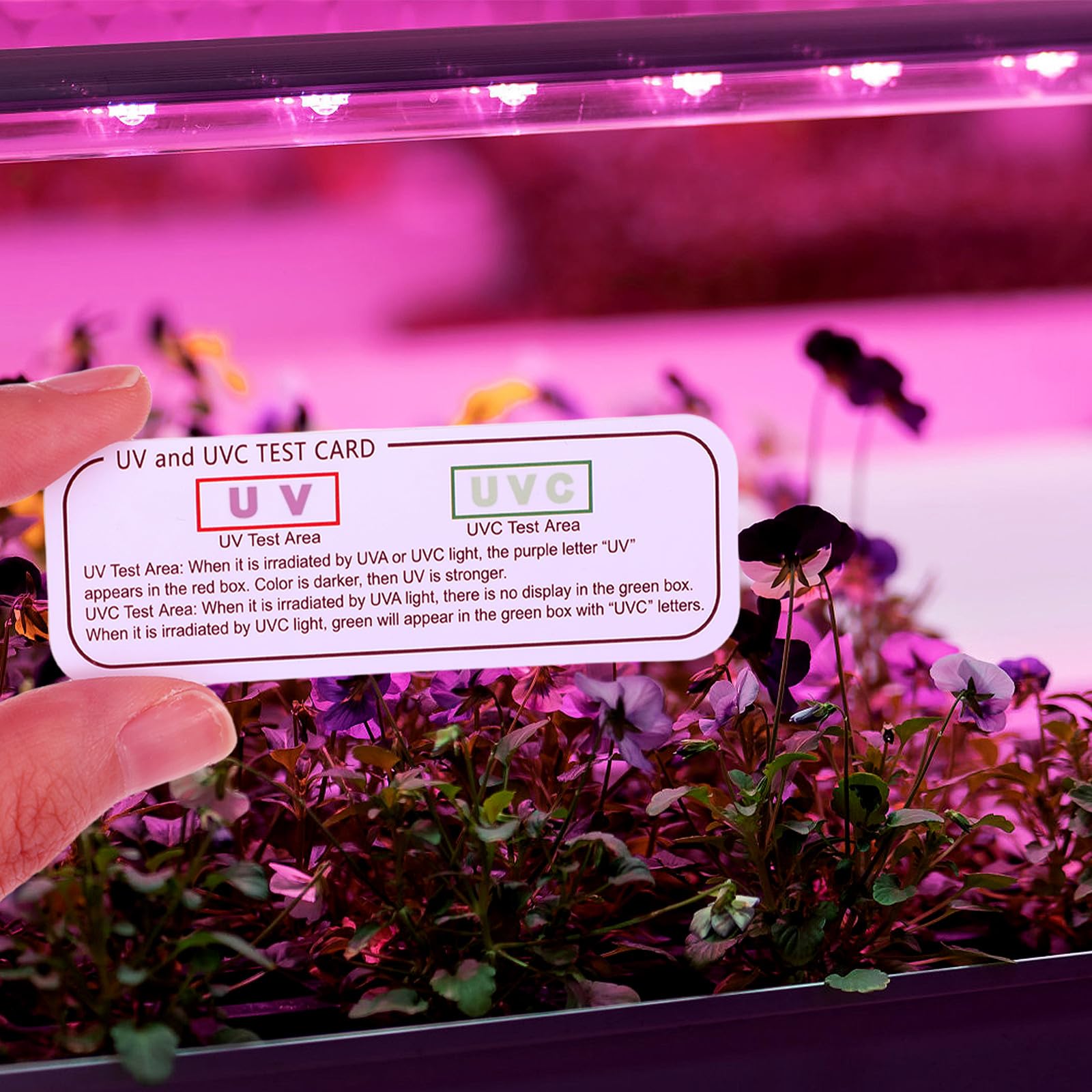 POPETPOP Schede di Uvc-uva Riutilizzabili 6 Pezzi, Misuratore UV per Rettili, Strumenti di Test UV e Uvc Compatti per Terrari e Verifica Intensità Raggi Ultravioletti