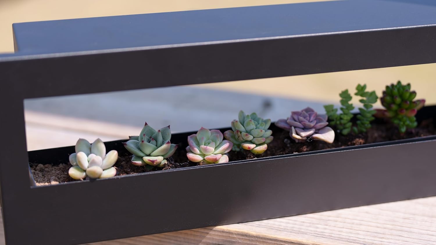 Black Planter Box Hanging Planters for Indoor Plants Succulent Pots Metal Wall Planter with Drainage Holes
