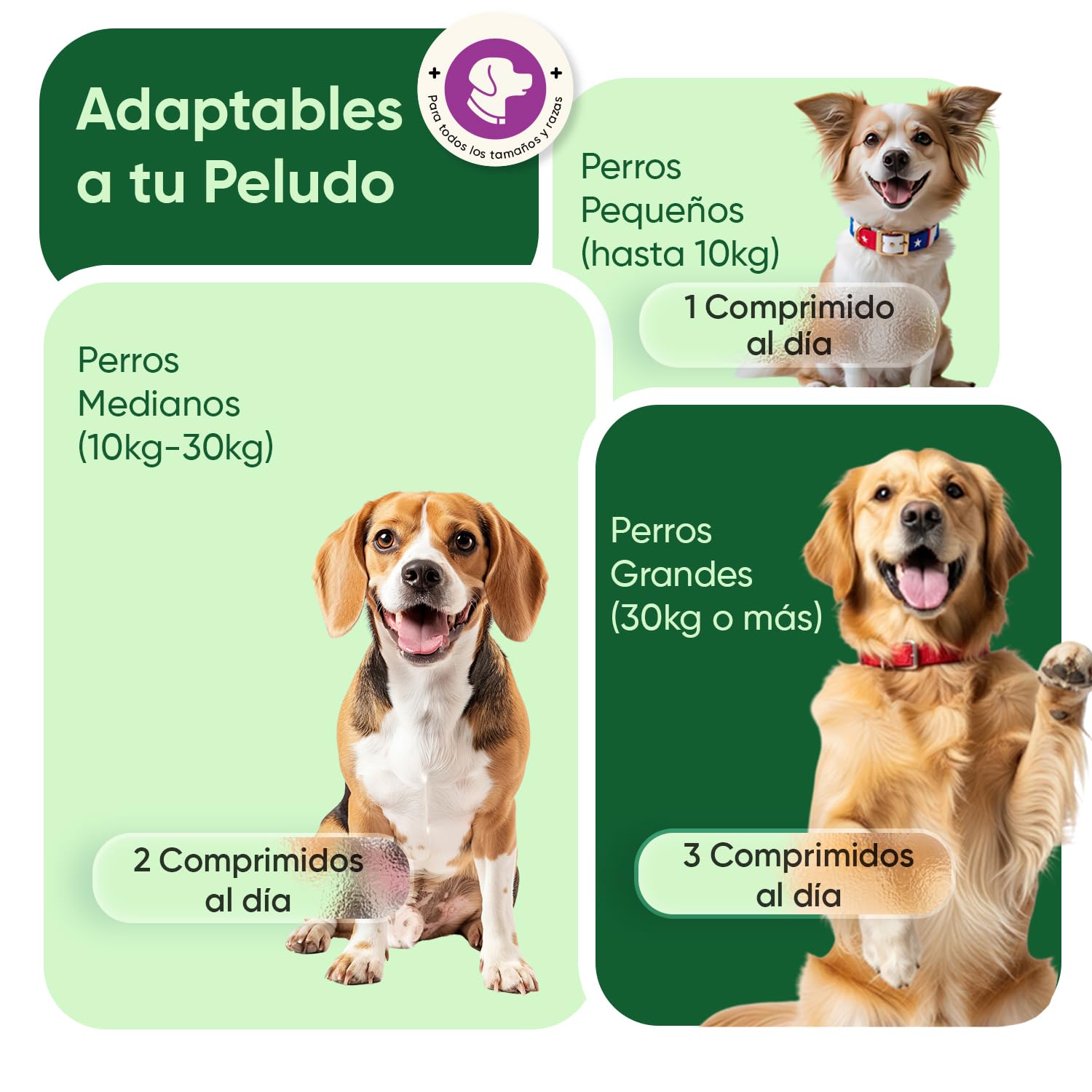 Calmante para Perros 120 Comprimidos Masticables - Relajante para Nervios por Fuegos Artificiales, Petardos, Tormenta o Viajes - Tranquilizante Natural para Perros de Todos los Tamaños y Edades