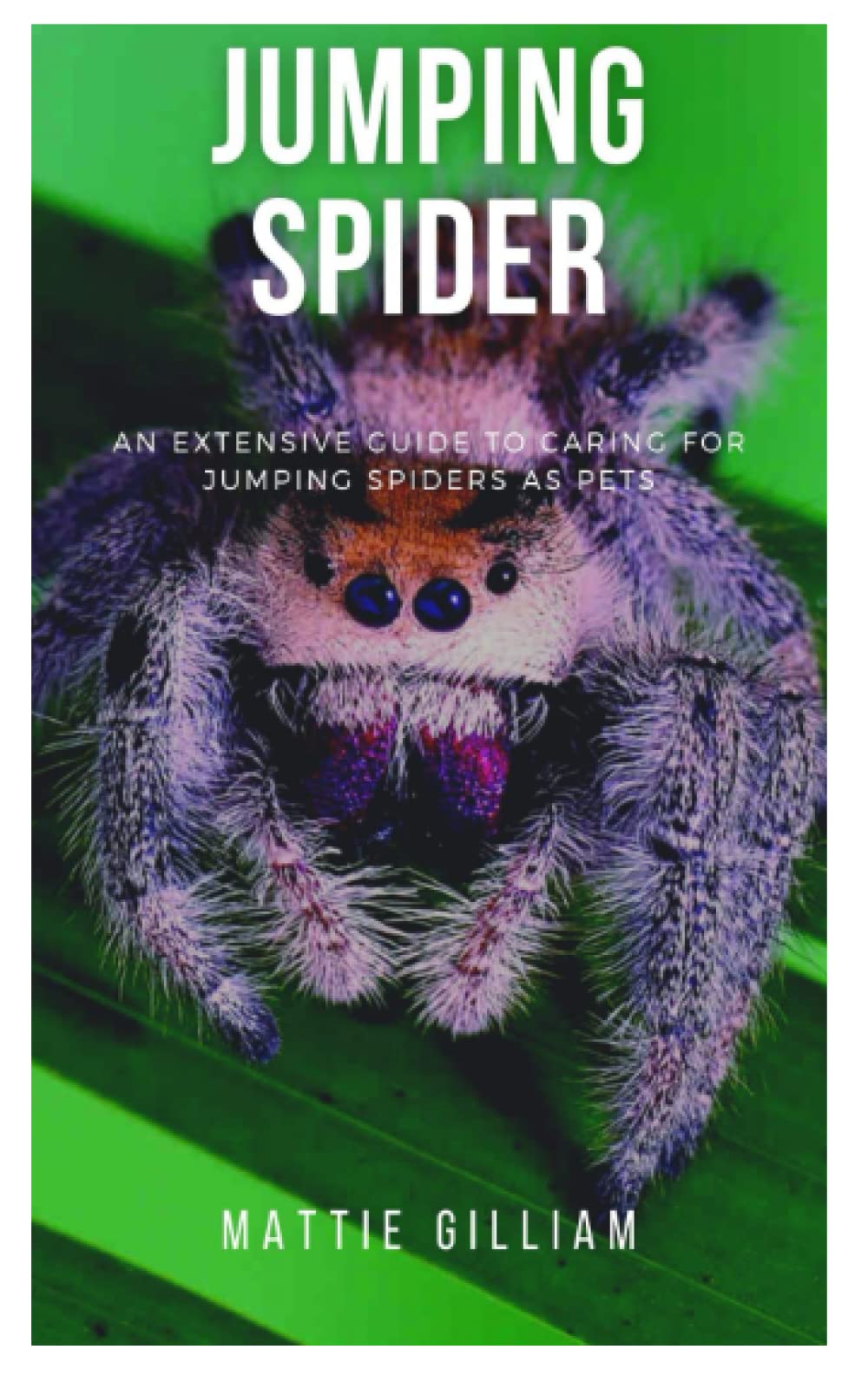 JUMPING SPIDER: An Extensive Guide To Caring For Jumping Spiders As Pets