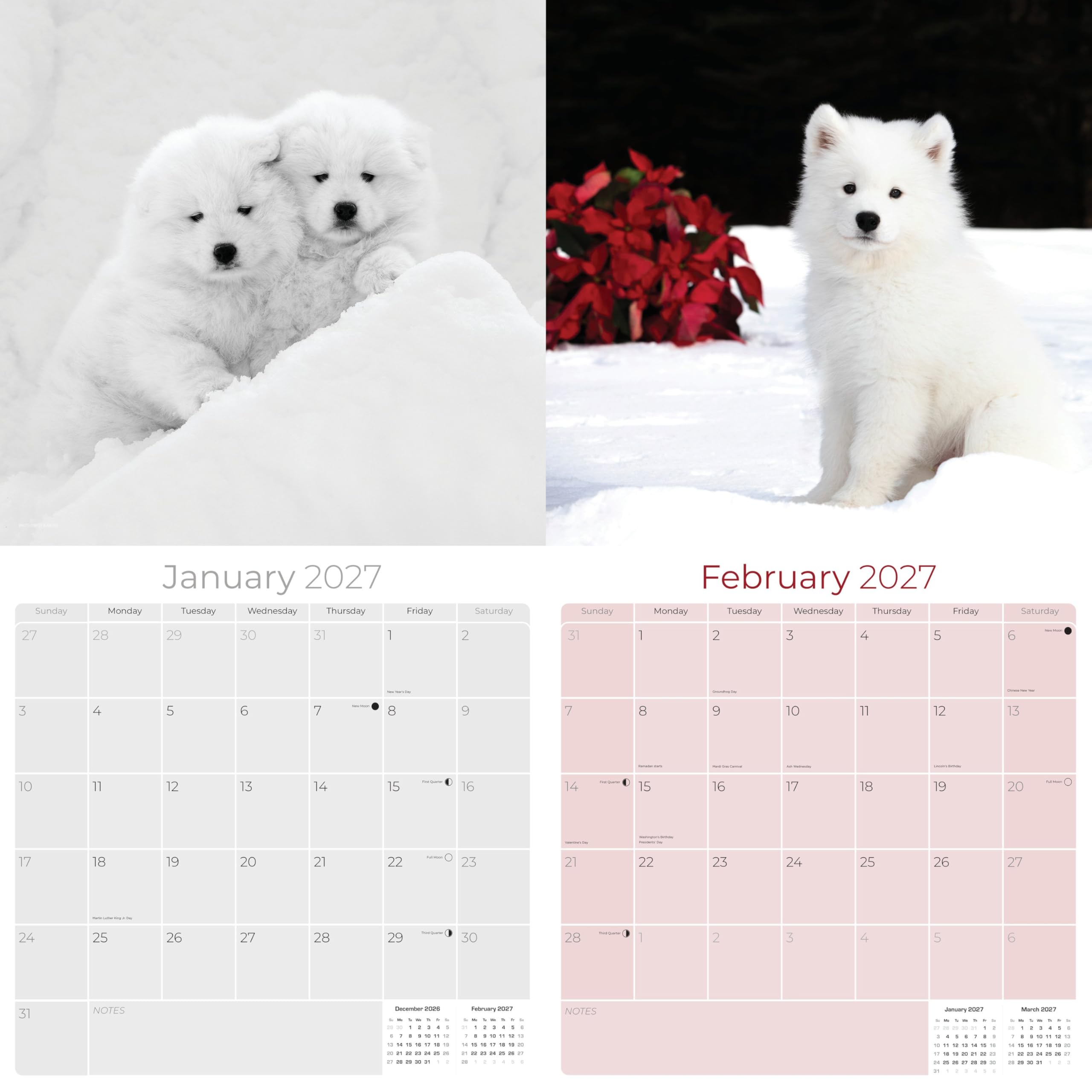 Amazon | 2025 2026 サモエドカレンダー - 犬種マンスリー壁掛け