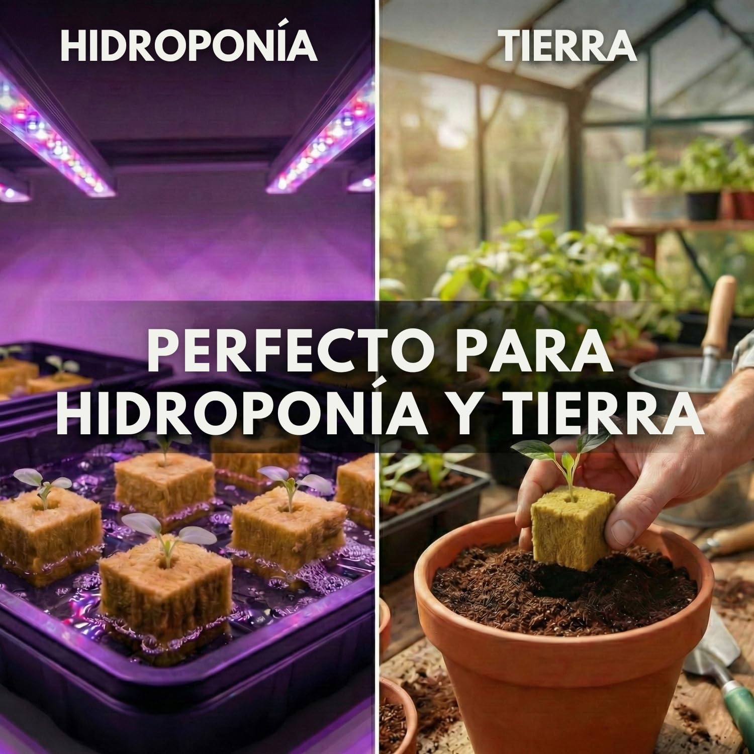 Lote de 100 Cubos de Lana de Roca Hidropónica (2,5 cm) para Germinación y Esquejes, Substrato Aireado Que Favorece el Crecimiento Rápido, Ideal para Semillas, Jardines Interiores y Exteriores