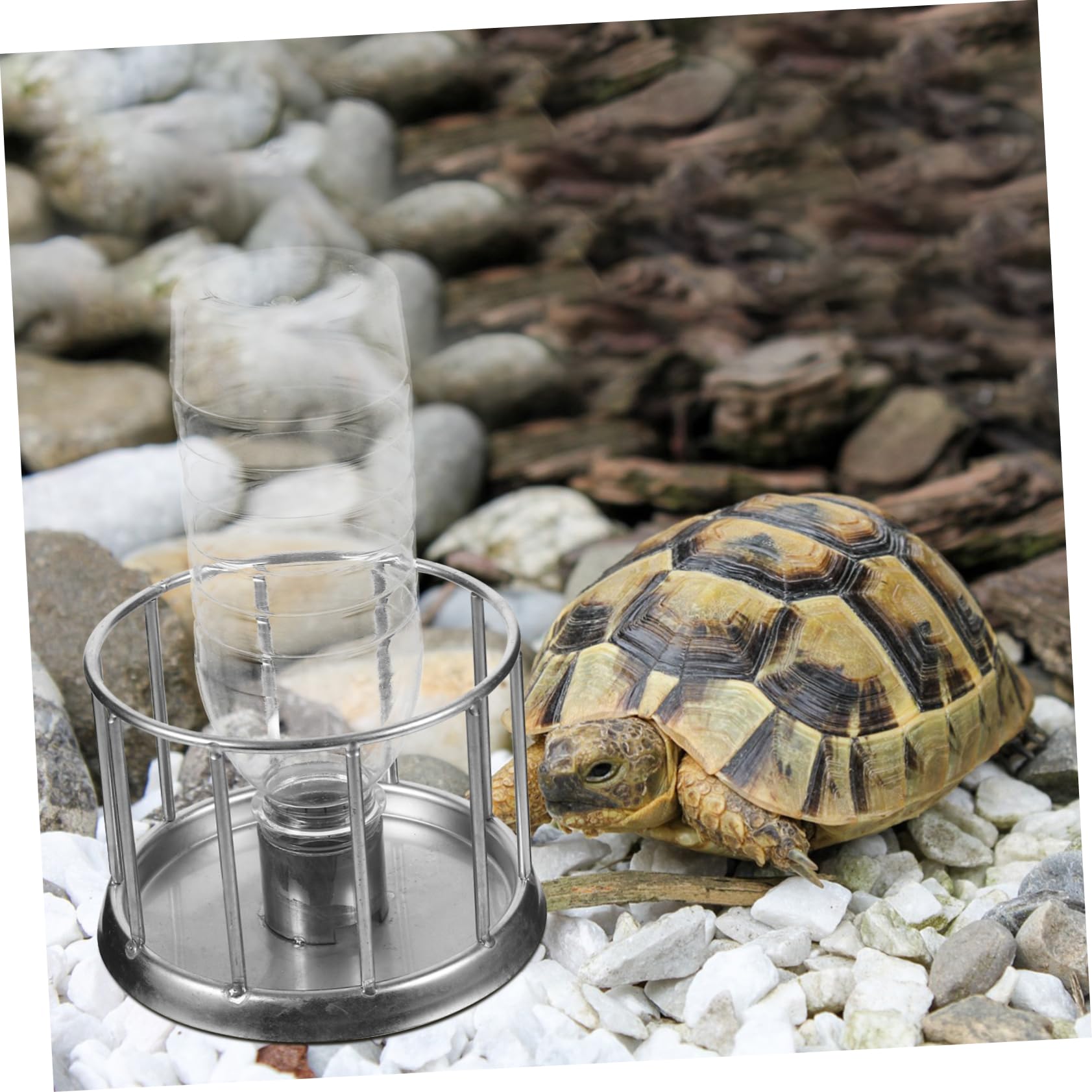 INOOMP 4piezas Mini Comedero De Acero Inoxidable para Reptiles Plato De Agua y Comida para Tortugas y Lagartijas Terrario Accesorios Diseño Multi-Funcional para Mascotas Pequeñas