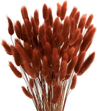 120pcs Bunny Tails Grass Burnt Orange Dried Flowers Plant Boho Pampas Grass 17 inch for Home Decor Wedding Bouquet Natural Flower Arrangements Caramel