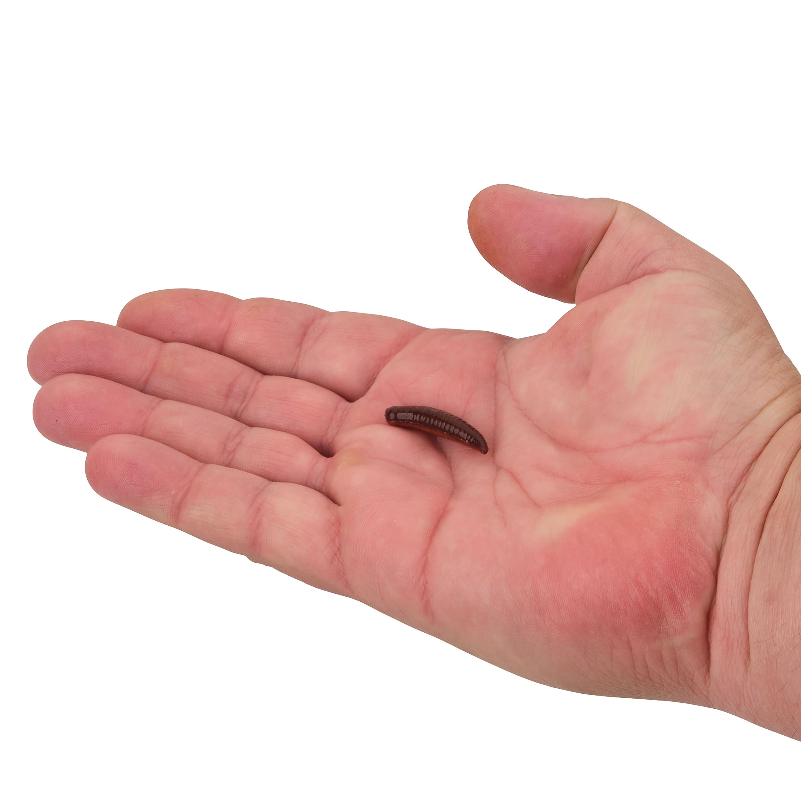 Amazon.co.jp: Berkley Gulp! 挟まれたクローラー釣り餌 ナイト