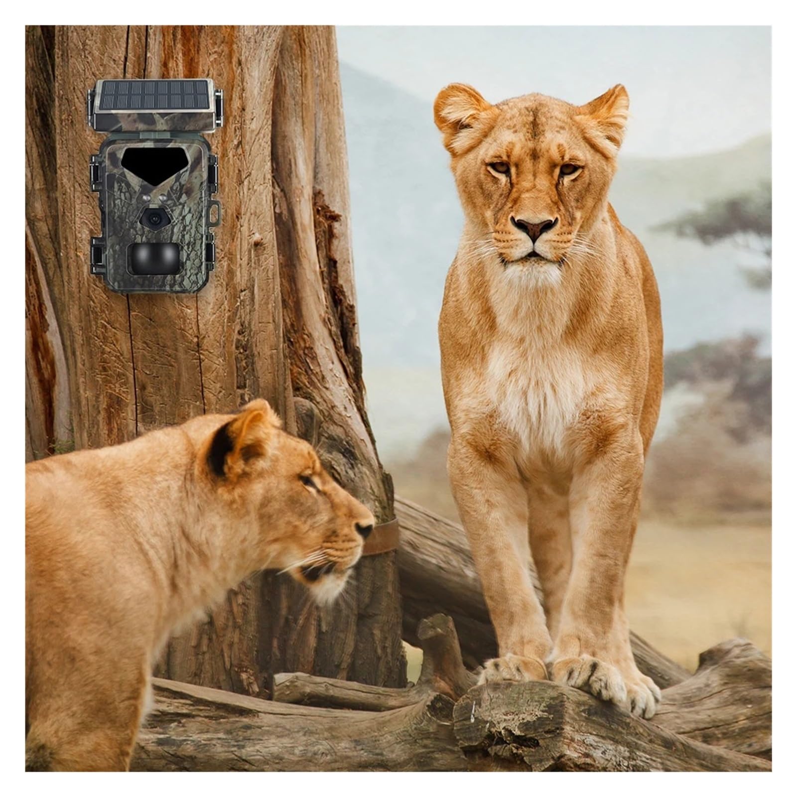 Cámara Vida Silvestre Cámara De Rastreo Solar 20MP/1080P Monitoreo Vida Silvestre Impermeable Seguimiento Animales For Seguridad En El Hogar Monitoreo Confiable Preciso
