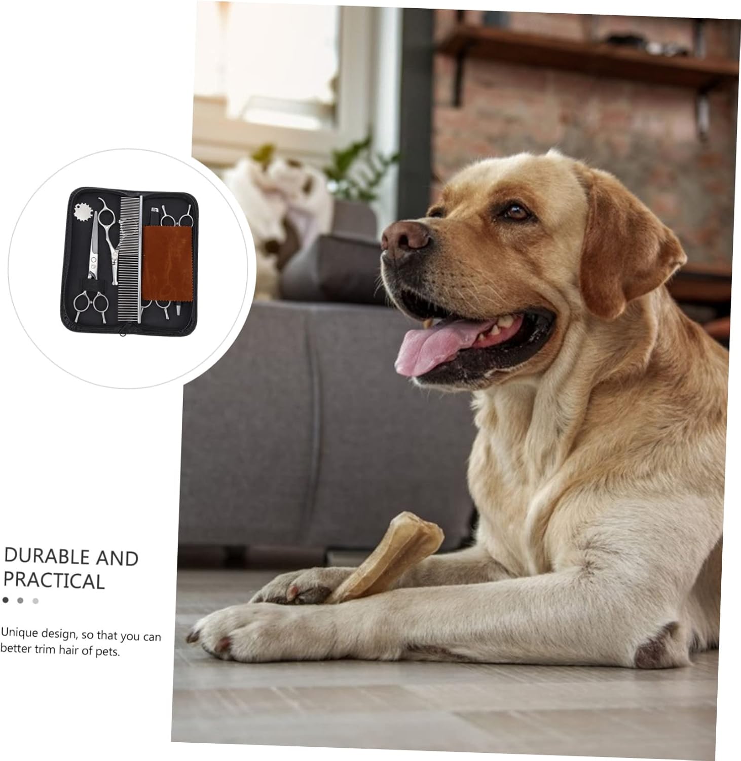 POPETPOP 1 Set Pet Grooming Scissors Dog Hair Trimming Shears for Safe Easy Pet Hairdressing Rounded Tips for Face Body for Home Salon Use