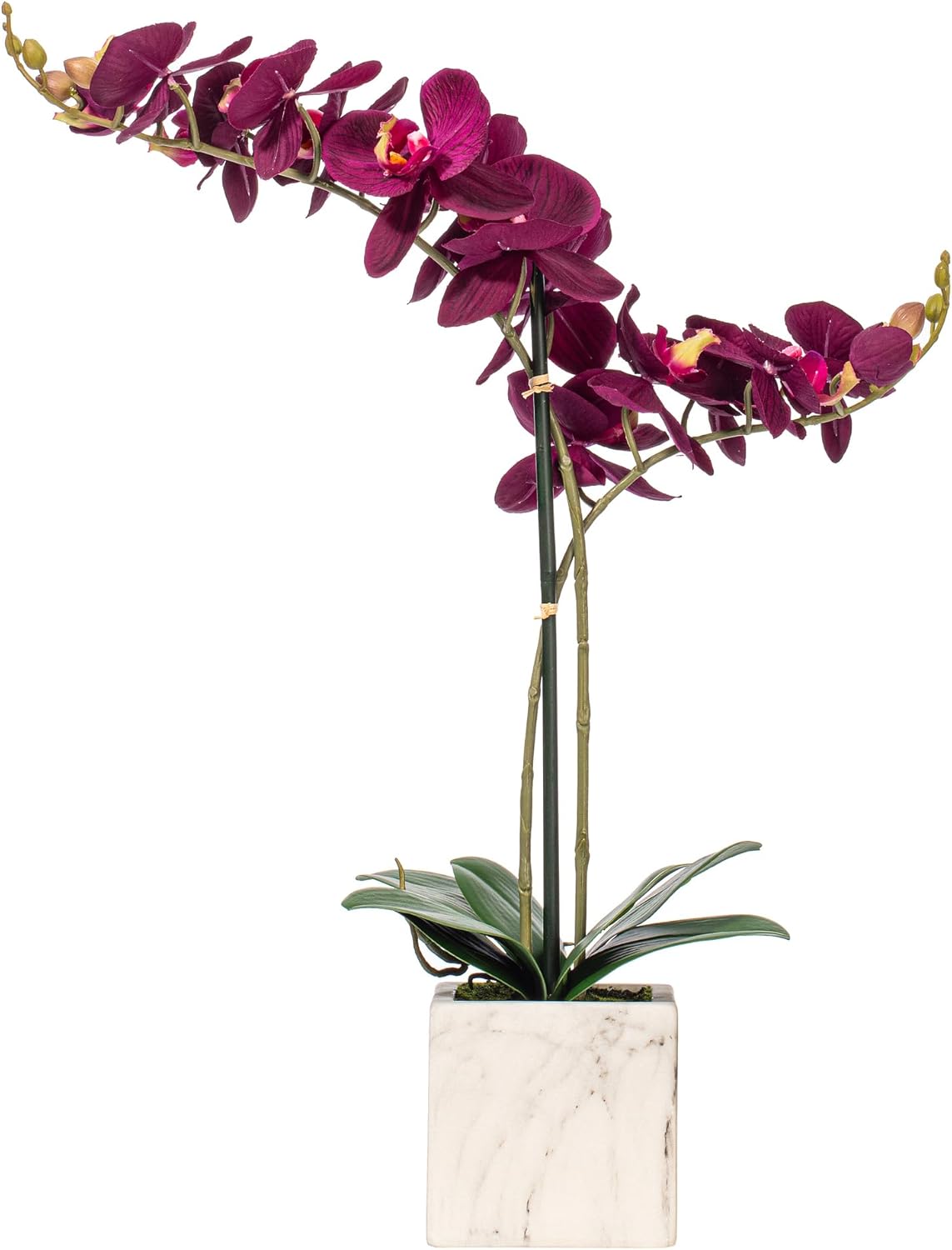 Vickerman Everyday 22" Indoor Artificial Pink and White Phalaenopsis Spray - Real Touch Petals - Decorative Ceramic Pot - Premium Durable Arrangement - Maintenance Free