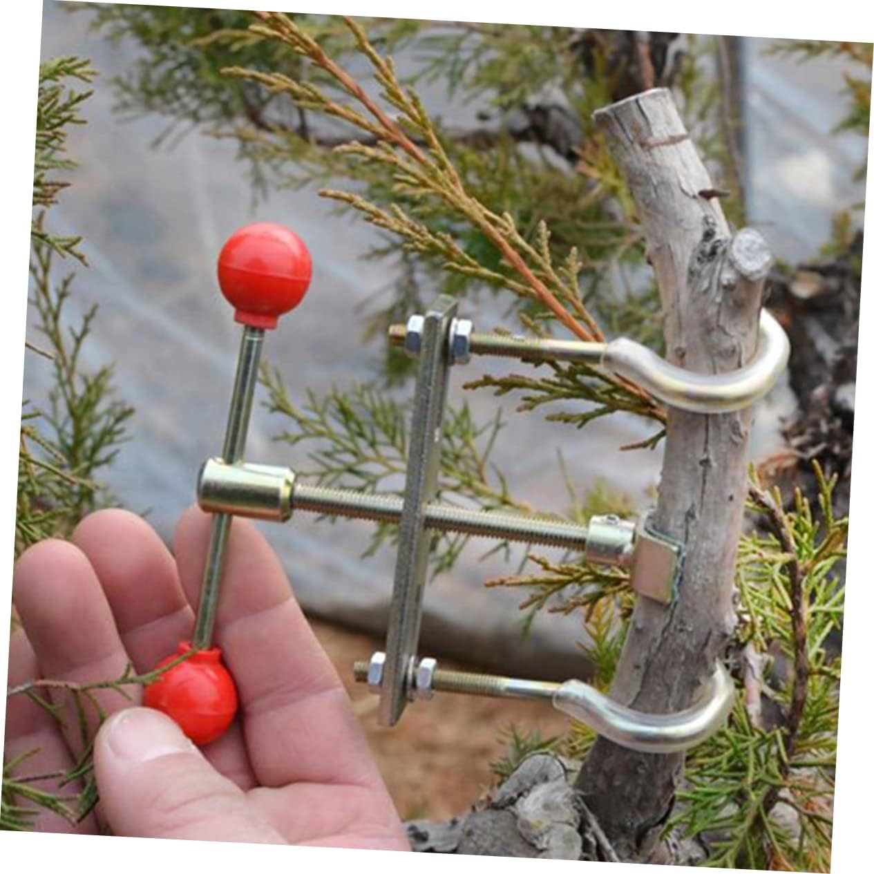 balacoo 3pcs Bonsai Branch Shaper Tool Plant Branch Trimmer Ficus Bonsai Tree Accessory