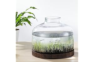 PONDON 2-Gallon Fish Bowl Glass with Channel, Base, and Water Changer