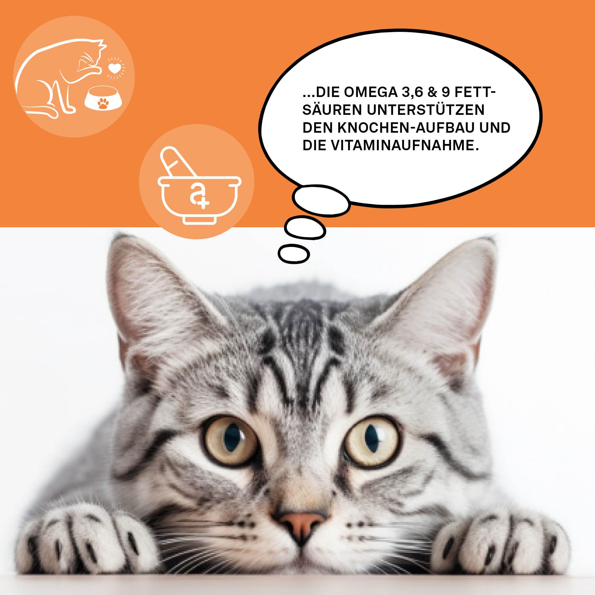 animaux Omega Complete Cats – 120 Kautabletten für Katzen – Fischöl reich an Omega 3, 6 & 9 Fettsäuren für den Stoffwechsel, Knochenaufbau & Herz-Kreislauf, Leckerli mit Lachsöl für Haut & Fell