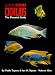 Cichlids: The Pictorial Guide Volume 1 (English, German and Chinese Edition)
