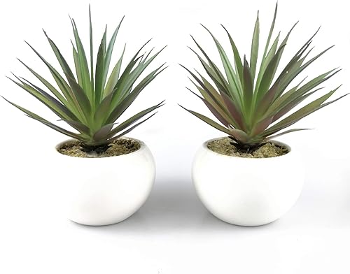 Tuokor TUOKORGREEN - Juego de 2 plantas artificiales pequeñas en macetas de cerámica, vegetación sintética, 3.5 x 6.7 pulgadas (profundidad x alto)