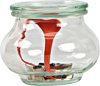 Weck Vasetto Decò 220 ml con Coperchio da 60 mm, Completi di Guarnizione e Clips, Scatola da 12 Pezzi, Vetro, Trasparente
