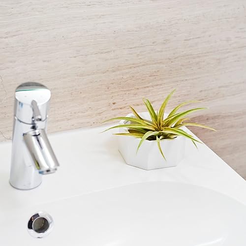 Miniatura 9 de Juego de 2Suculentas Maceta Macetas Maceta, para colgar en la pared. Tillandsia Air macetas plantas terrario, Hanging Plant Soporte para Cactus y