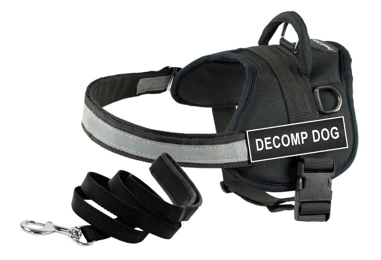 Harnais DT Works XS anti-traction Dean & Tyler pour éduquer votre chiot sans douleur
