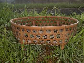 71Y1OVUgSOL._AC_UF350,