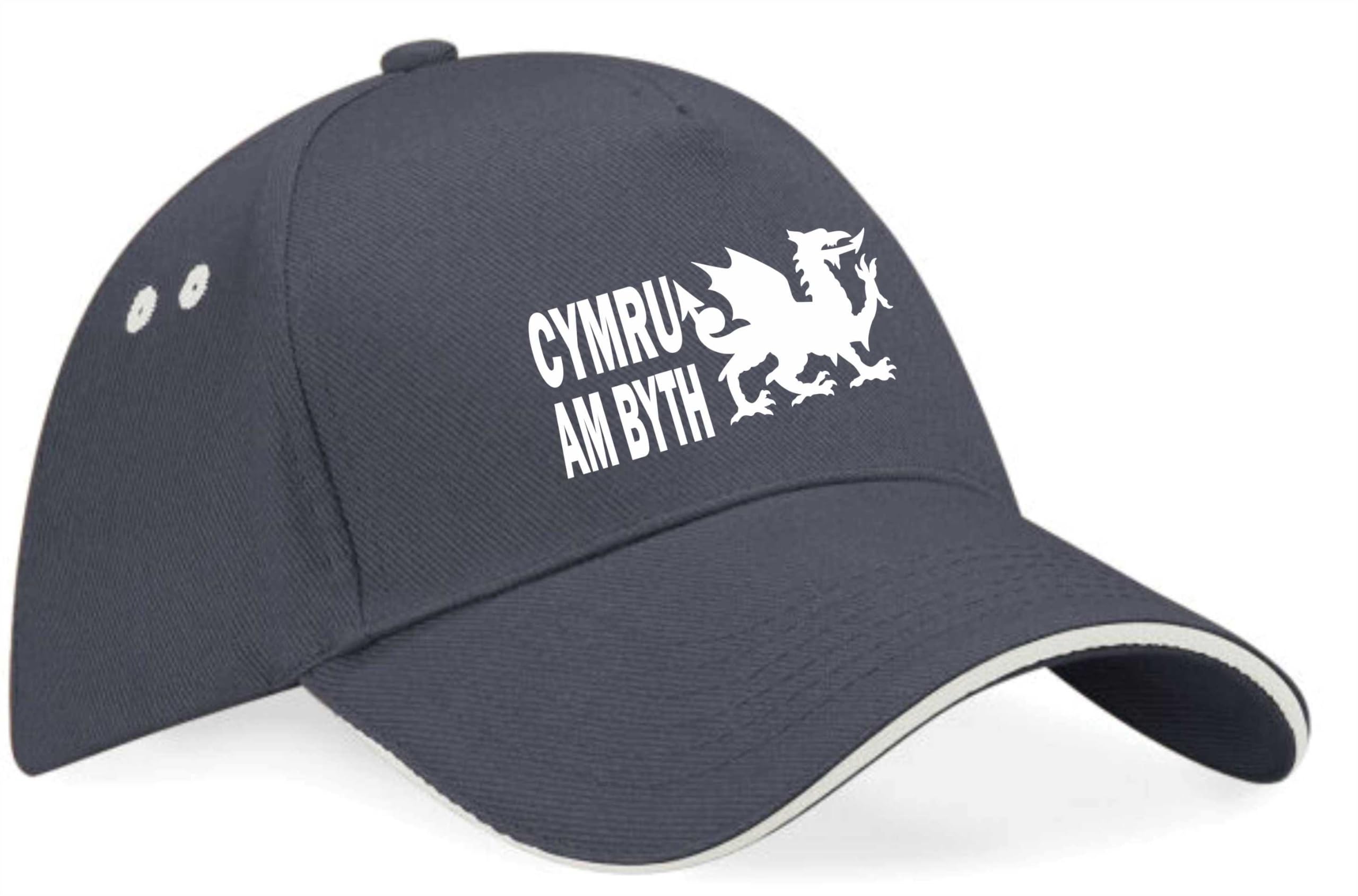 Print4u Unisex Grey Welsh Dragon Cymru Bath Baseball Cap Wales Lover Gift For Men & Ladies