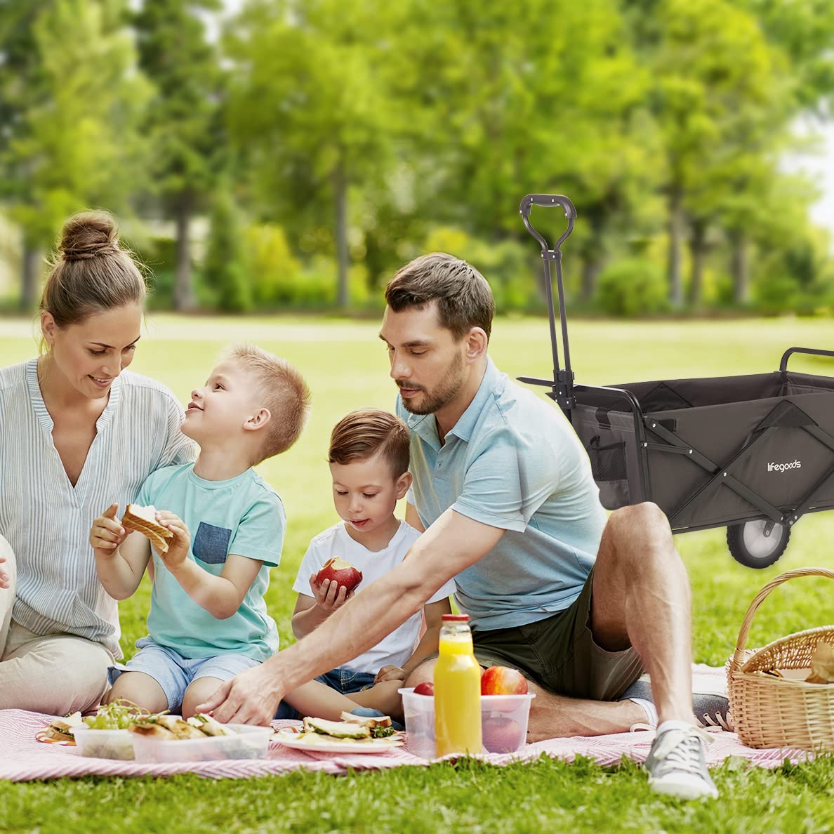 LifeGoods Carrello Spiaggia - Carrello Pieghevole Con Ruote - Carrello Spiaggia Ruote Grandi - Ruote Girevoli - 2 Supporti - Capacità Di Carico Di 70Kg - Grigio