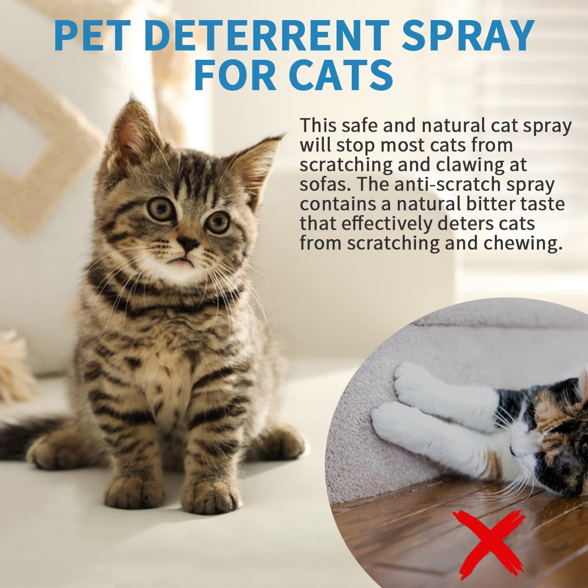 Declawed Cats What To Put On Furniture To Keep Cats From