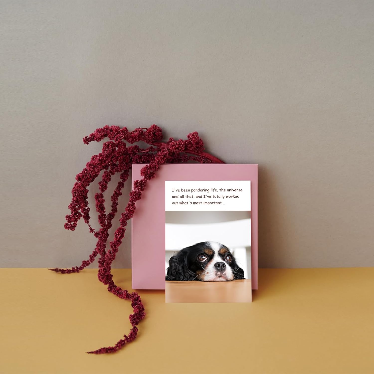 Funny Dog Birthday Card, Humorous Birthday Gift Idea for Dog Lovers, Happy Birthday Card from Doggy - Image 4