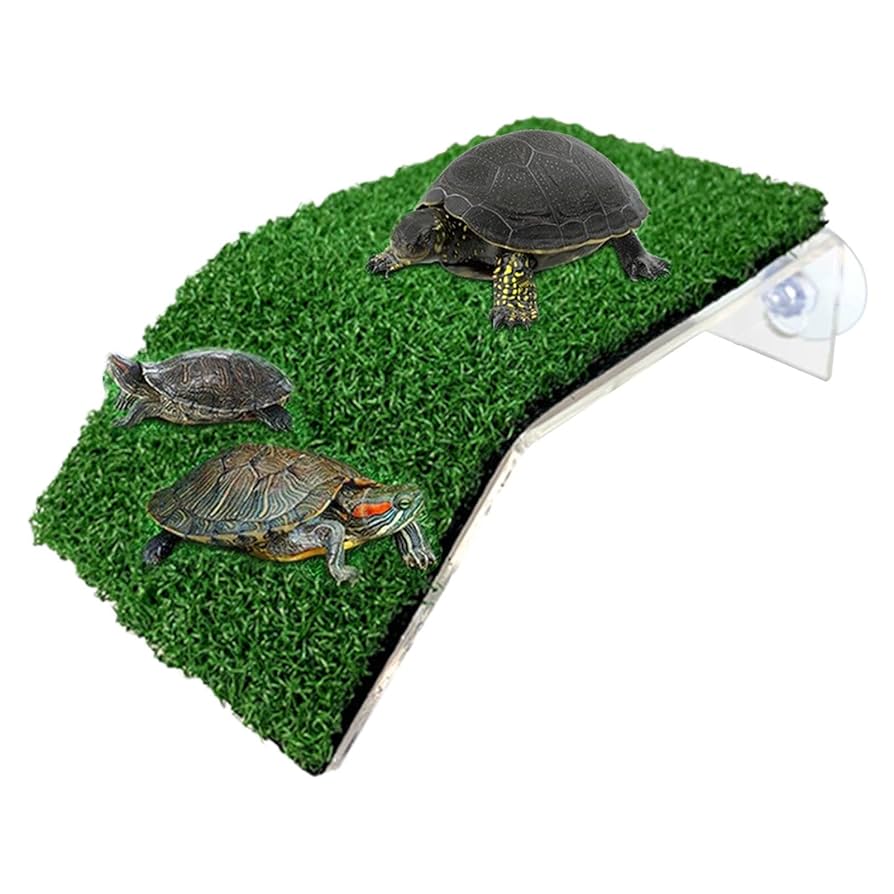 爬虫類　バスキングスロープ　15 爬虫類 バスキングスロープ 15