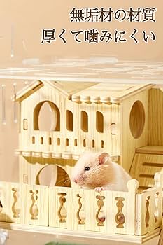 Amazon | 2階建て ハムスター ケージ 半透明の アクリル