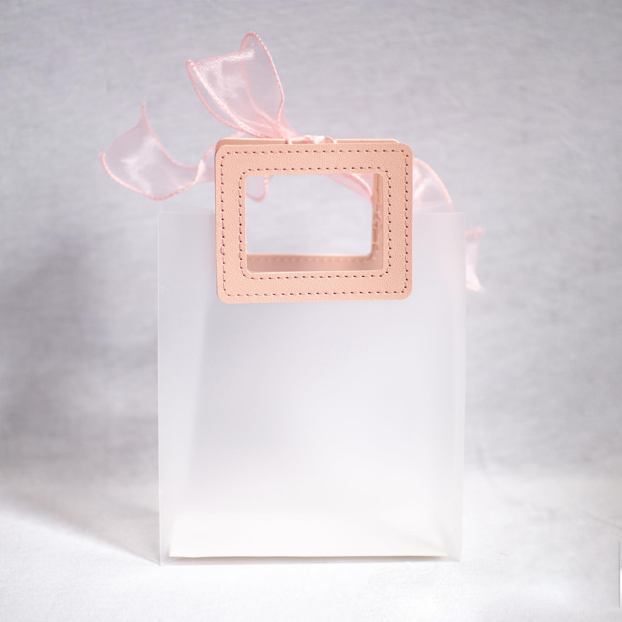 Ribbon & Luxe Lot De 12 Sacs Cadeaux Et Boutiques Transparents Avec