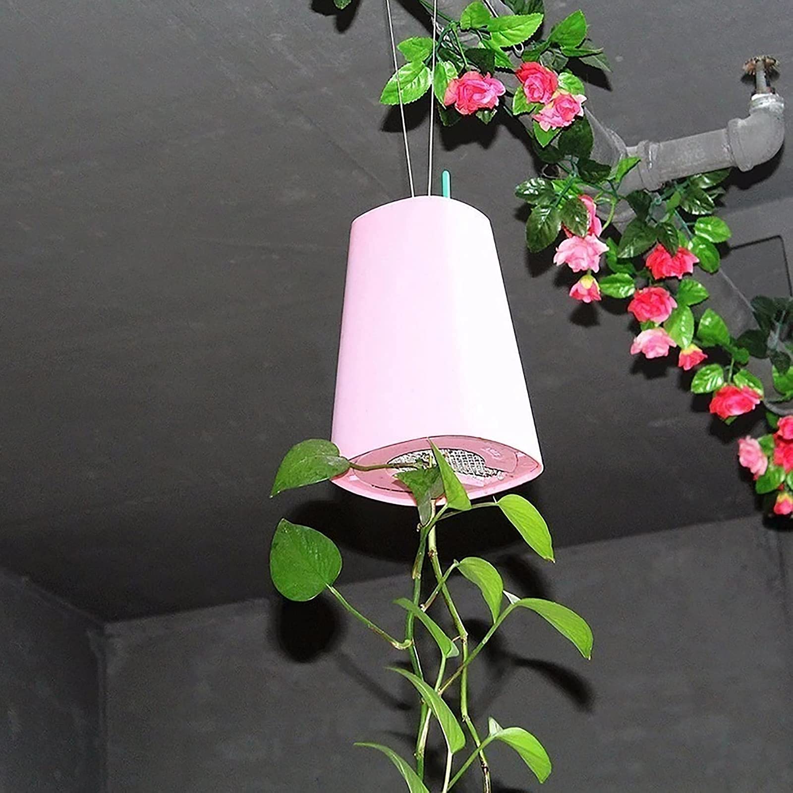 Lauviomify Vasi per piante autoirriganti 2 pezzi - Vaso per piante 20,3×12,7×17,8cm con indicatore livello acqua e serbatoio - Vasi per piante da esterno per balcone e giardino (Nero-Marrone