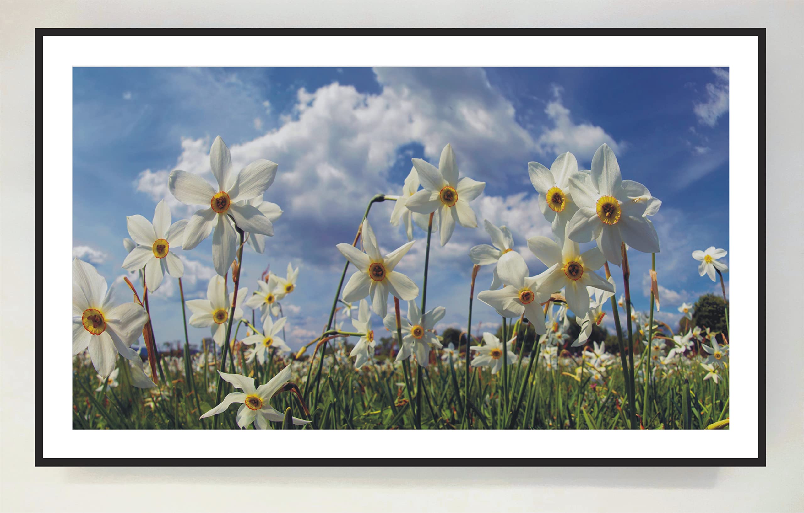 Cuadro con Marco Madera Lacada en Negro Iluminado con Luz Leds Flores: Campo de Tulipas