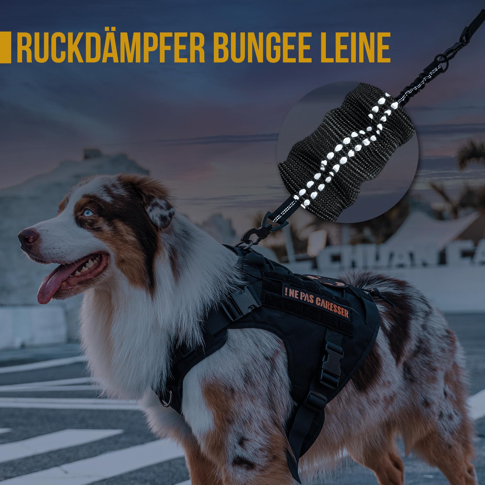 OneTigris Ammortizzatore per cani, 51 cm, guinzaglio in nylon con denti di tigre, clip in metallo, estensione in lino, riflettente per passeggiate, ciclismo